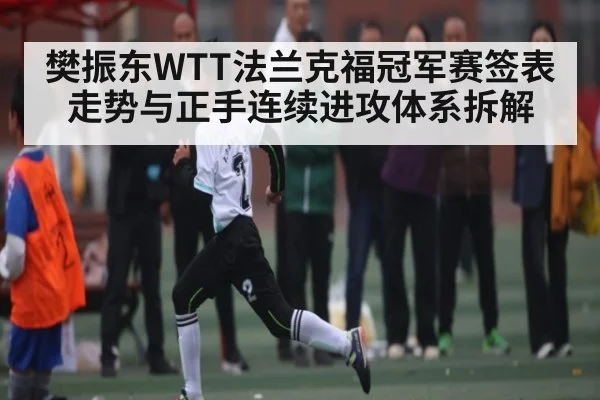 樊振东WTT法兰克福冠军赛签表走势与正手连续进攻体系拆解